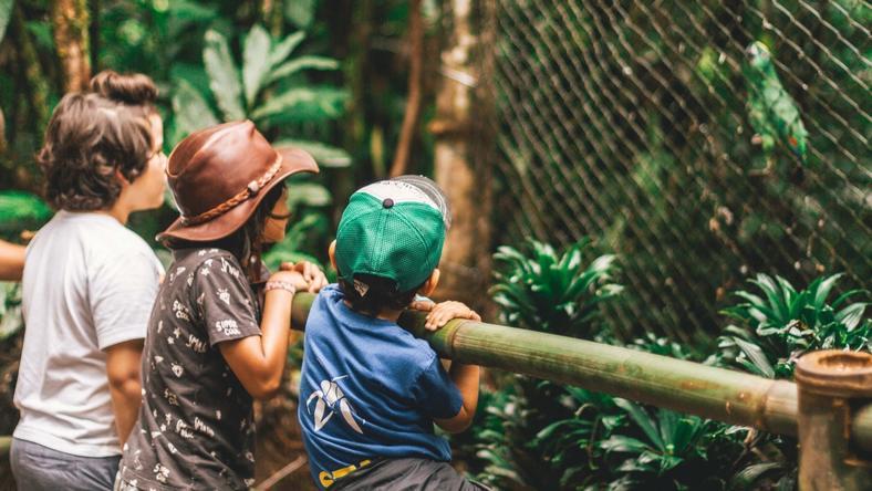 玛雅的“失落之城”竟是靠免费地图找到的?